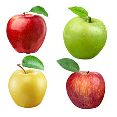 Apple Fruit 4 Set. Red Apple, Green Apple, Yellow Apple and Colorful Apple.