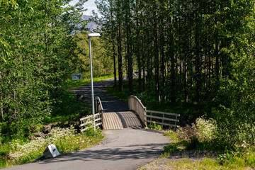Wooden footbridge surrounded by lush greenery in Mosfellsbær, Iceland on a sunny day
