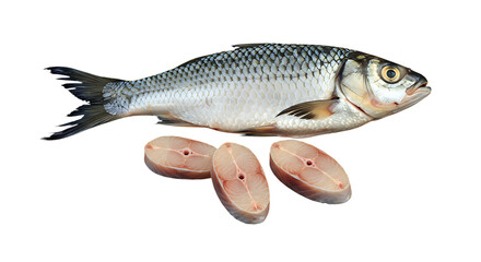  fresh whole rohu carp fish with raw steaks - healthy seafood isolated on transparent background