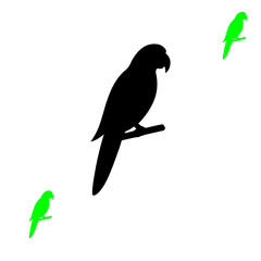 parrot vector silhouette