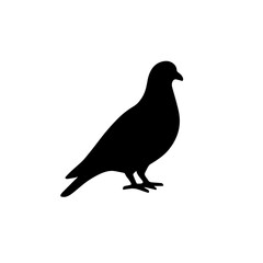 Pigeon vector silhouette