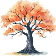 Fototapeta premium Sprawling tree with a lush crown.