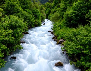 Mountain river flowing through lush forest