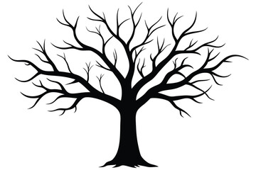 Fototapeta premium Silhouette of a Bare Tree with Branches Reaching Upward Against a White Background