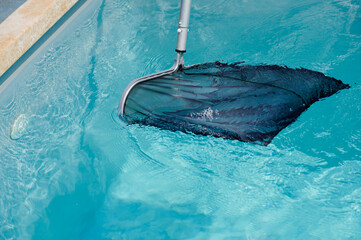 Pool maintenance with a skimmer net to clean debris from the tranquil water on a sunny day