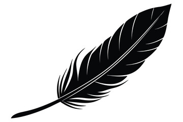 Fototapeta premium Stylized Black Feather Illustration Elegant Bird Plumage Design Element Isolated on White