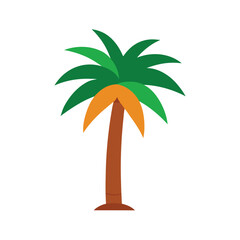 palm tree on white background
