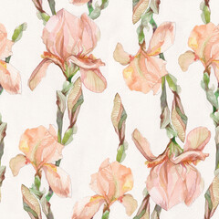seamless background with  irises flowers