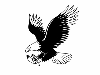 eagle in flight