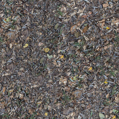 Autumn Forest Floor Texture Collection – Fallen Leaves & Earthy Details