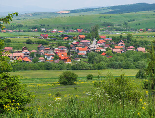 rural landscape in the summer