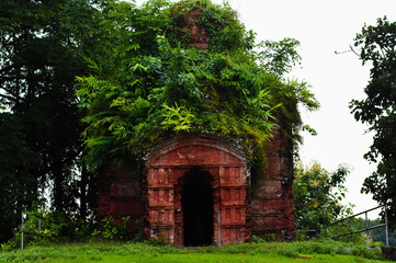 Ancient red brick temple ruins, overgrown with lush green foliage, in a forest of Udaipur, Tripura. 