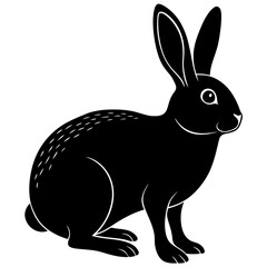 vector illustration of a bunny