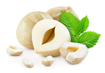 Hazelnut isolated on white background Clipping Path