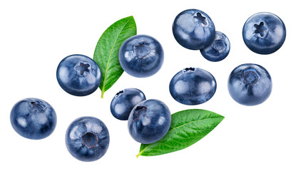 Flying blueberry isolated on white background