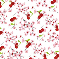 Pattern fiori di ciliegio e ciliegie