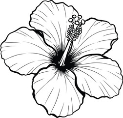 Fototapeta premium Elegant black and white hibiscus flower illustration