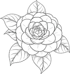 Elegant line drawing of a camellia flower