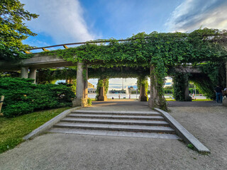 Concrete Tunnel Covered in Lush Ivy