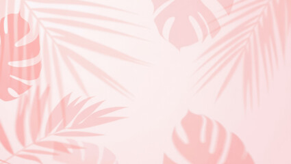 Fondo color rosa pastel con sombra de hojas reflejadas sobre su superficie. 