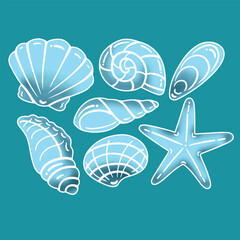 sea shells vector illustration
