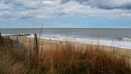 beach grasses and surfers