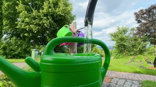 watering the garden