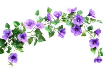 Vibrant purple flower arrangement studio botanical art bright aesthetic appeal cut out on transparent background