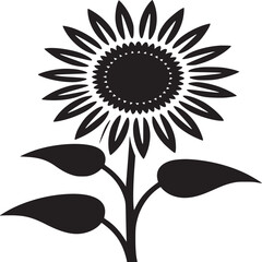 Fototapeta premium A black and white vector image of a sunflower with three leaves on a white background illustration