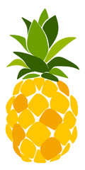 Pineapple fruit isolated on a white background. Vector illustration