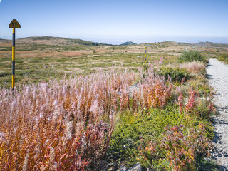 Autumn panorama of Vitosha Mountain, Bulgaria