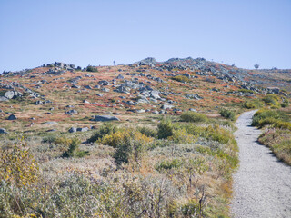 Autumn panorama of Vitosha Mountain, Bulgaria