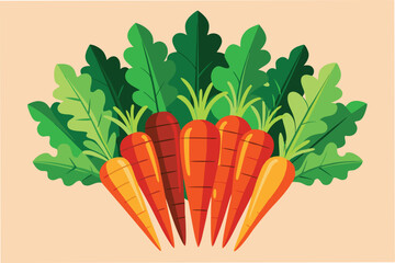 Bunch of fresh carrots with green tops vector illustration clipart for farm to table movement and promoting healthy eating with vegetables in spring season