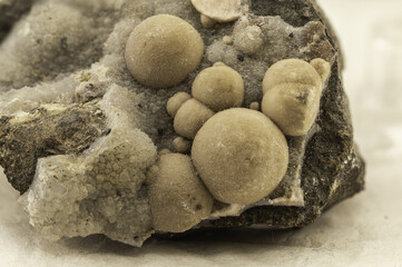 botryoidal aragonite featuring spherical beige crystal formations on dark matrix. Ideal for collectors, geology education, or scientific illustration. High-resolution macro image with natural textures