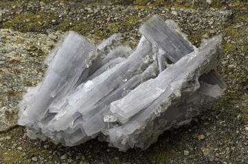 Macro shot of natural cyanite mineral showing parallel, elongated crystals with a distinctive fibrous structure and pale blue-gray color, perfect for geology, science, or educational media purposes