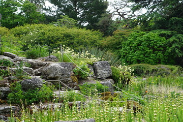 rock garden, flowers, summer garden, cambridge, cambridge botanic gardens
