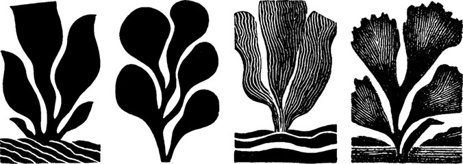 Neo folk art style woodcut illustration of abstract botanical forms for creative design