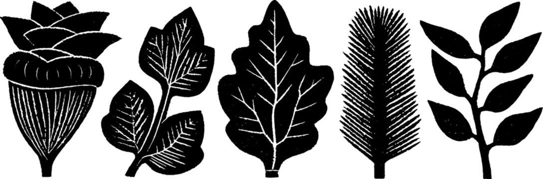 Neo folk art style botanical illustration: woodcut print of diverse leaves for creative design