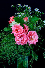 rose flower close-up as a background