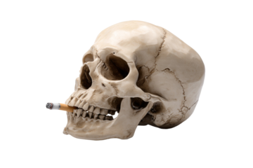 A skull with a cigarette in its mouth