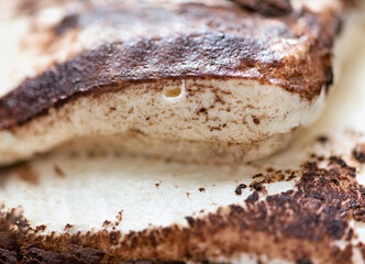 rustic italian tiramisu dessert food background