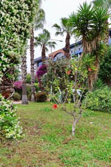 Lush tropical garden. High quality photo