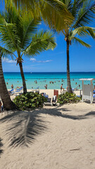 Playa Palmeras puerto barco