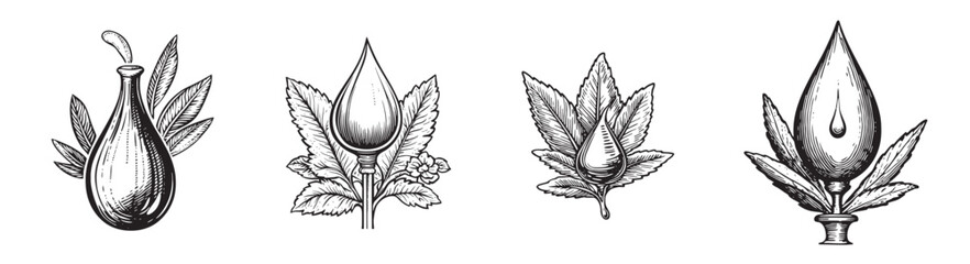 Obraz premium Vintage Illustrated Oil Drop with Leaf Elements in Black and White, logo design, engraving design, vector illustration