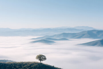 breathtaking aerial view of mountains enveloped in morning fog highlighting solitary tree atop peak
