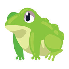 Cute Cartoon Frog Vector Illustration