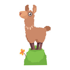Cute Llama on Grassy Knoll Vector Illustration: Charming Cartoon Animal with Flower