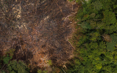 AERIAL IMAGES OF DEFORESTATION IN THE PERUVIAN AMAZON, FORESTS DEFORESTED BY AGRICULTURE AND HUMAN EXPANSION, DESERTIFICATION IN THE PERUVIAN AMAZON
