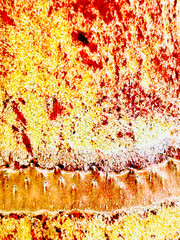 abstract background of a palm tree trunk