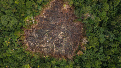 AERIAL IMAGES OF DEFORESTATION IN THE PERUVIAN AMAZON, FORESTS DEFORESTED BY AGRICULTURE AND HUMAN EXPANSION, DESERTIFICATION IN THE PERUVIAN AMAZON
